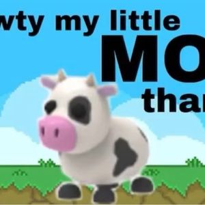 Meet your Posher, Rose